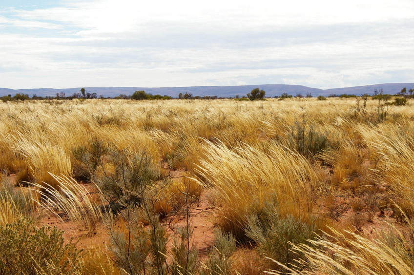 Looking North From Confluence