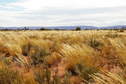 #2: Looking North From Confluence