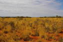 #4: Looking East From Confluence