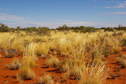 #5: Looking West From Confluence