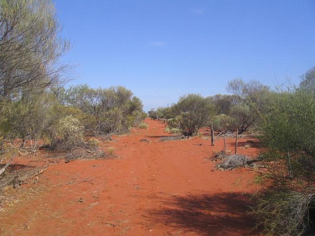 We followed this fence-line for more kilometres than we care to remember.