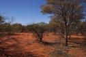 #4: View looking east from confluence point