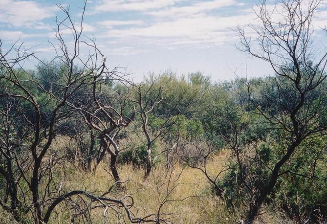 View from the CP looking north