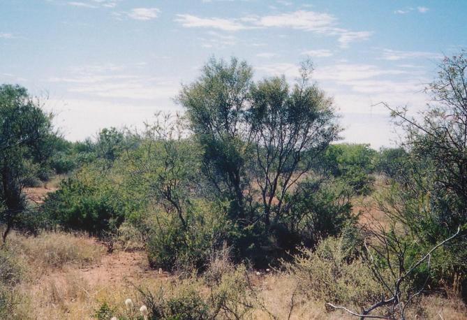 View from CP looking east