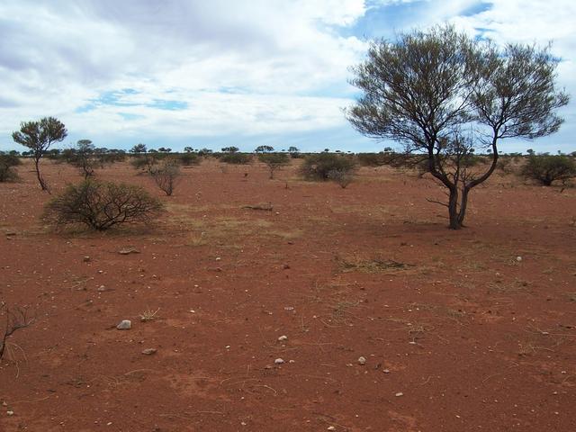 View looking north from the confluence.