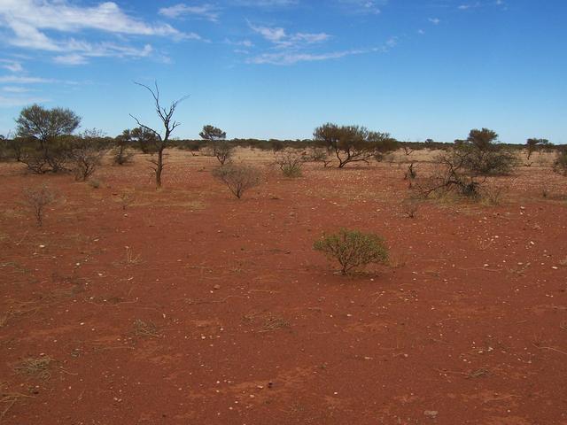 View looking south from the confluence.