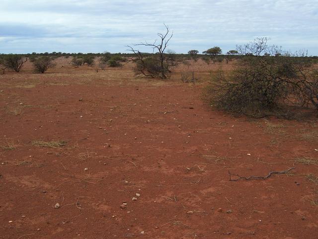 View looking east from the confluence.