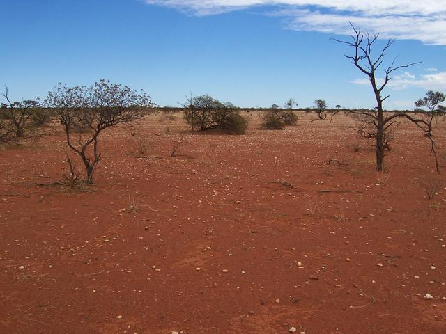 View looking west from the confluence.