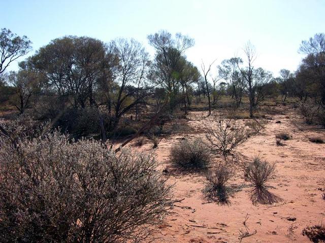 View from the confluence looking west