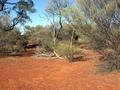 #3: View from the confluence looking east