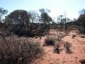 #5: View from the confluence looking west