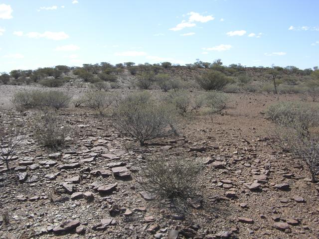 View from the confluence looking north