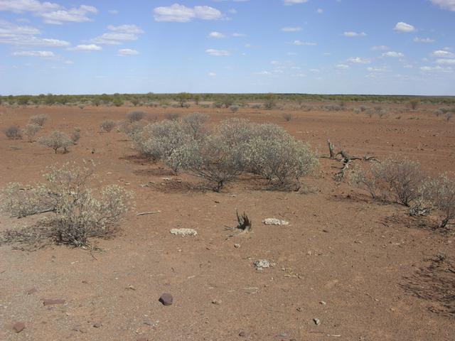 View from the confluence looking south