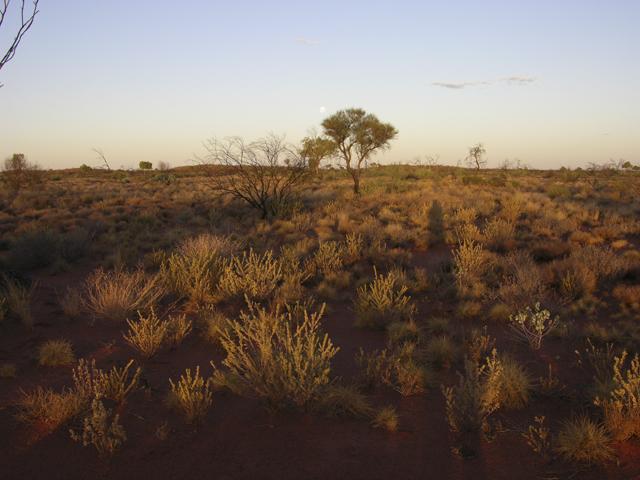 View from the confluence looking