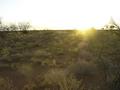 #5: View from the confluence looking