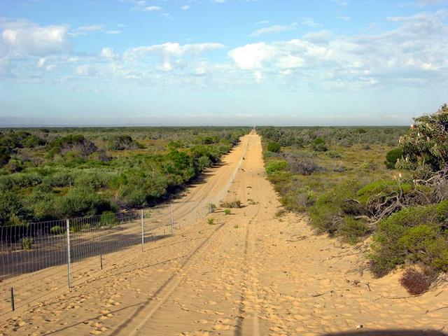 The Vermin Proof Fence