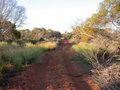 #8: track near camp site