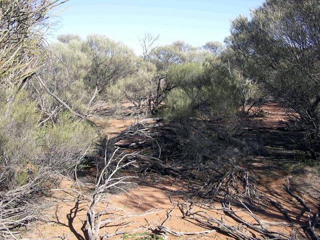 View of the confluence looking west