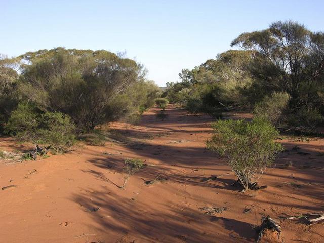 The overgrown westerly track - about 15km to go!