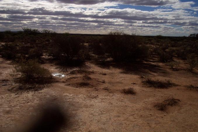 View looking north from the confluence