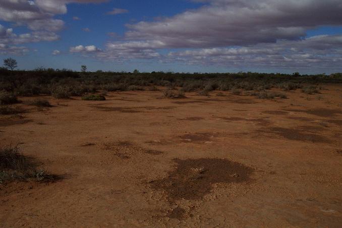 View looking west from the confluence