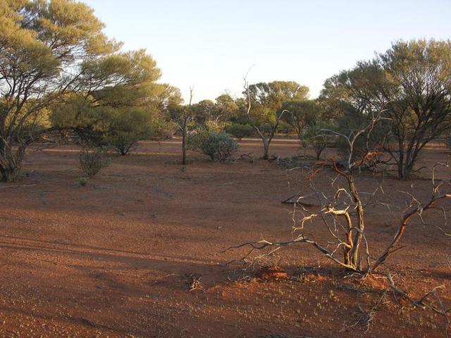 View from the confluence looking south