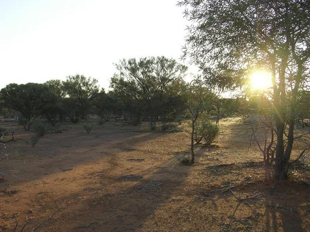 View from the confluence looking west