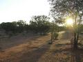 #5: View from the confluence looking west