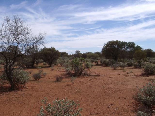 View from the confluence, looking north