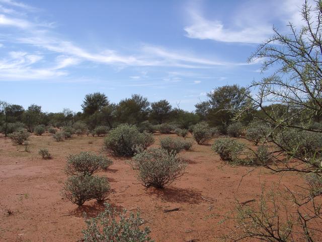 View from the confluence, looking east