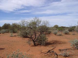 #1: View of the confluence, looking south