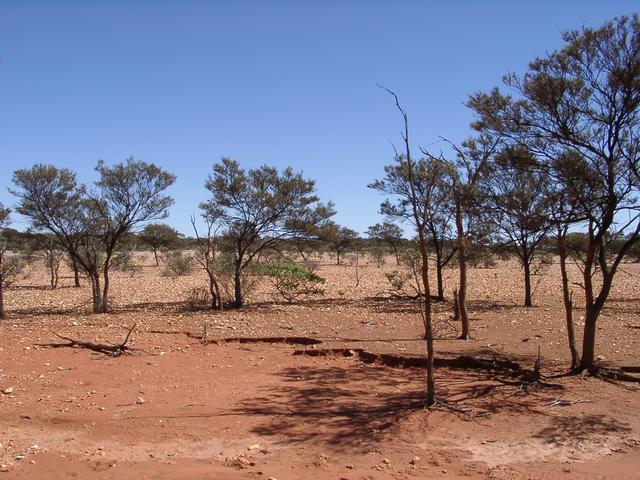 View west from confluence