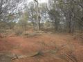 #5: View from the confluence looking west