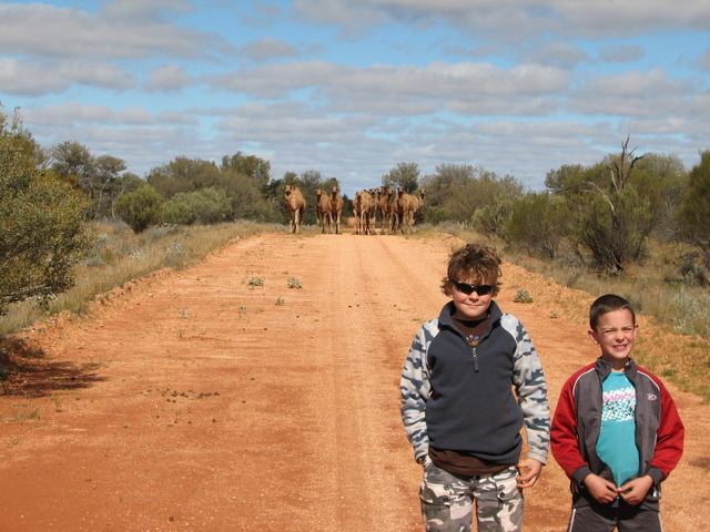 Tommy, James & Camels