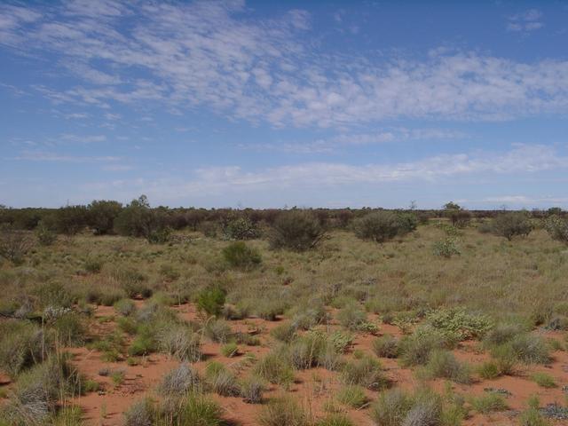 View south from the confluence