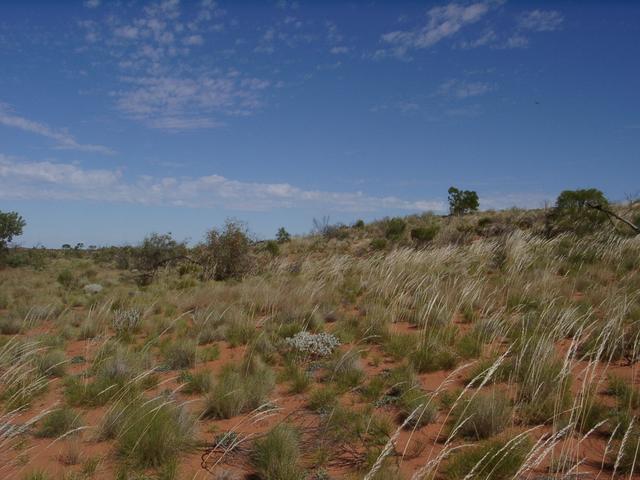 View west from the confluence