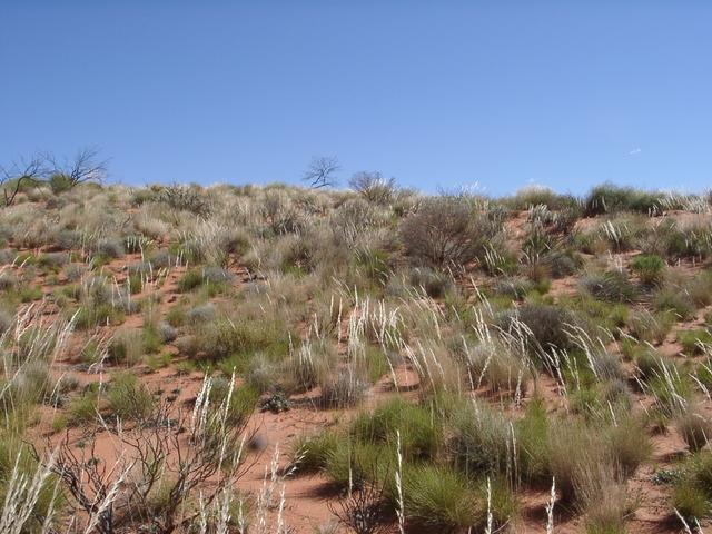 View north from the confluence