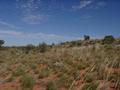 #2: View west from the confluence