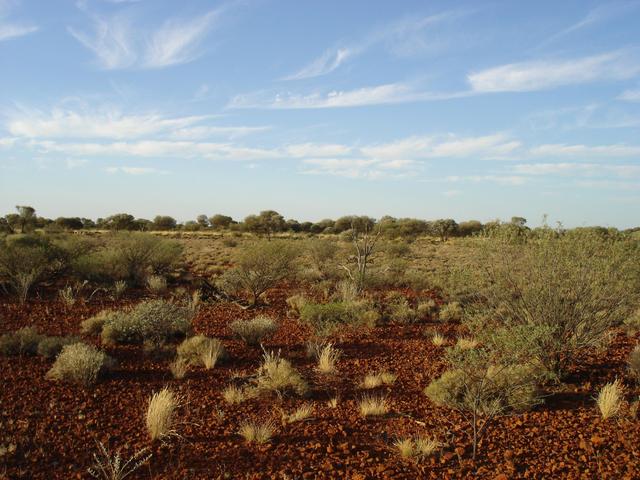 North view from confluence