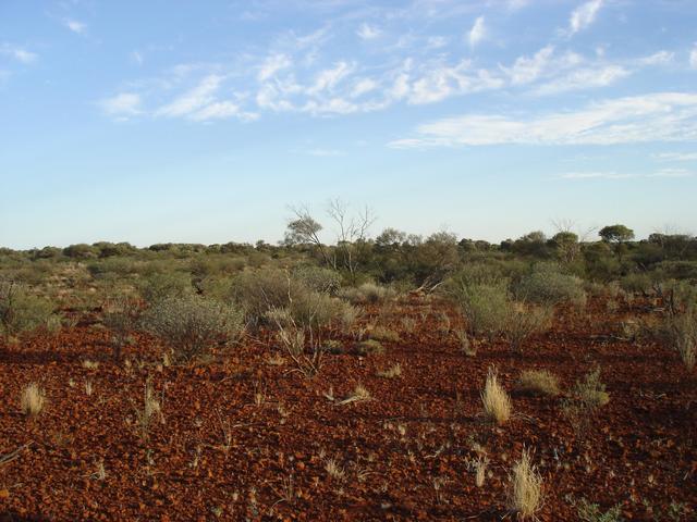 South view from confluence