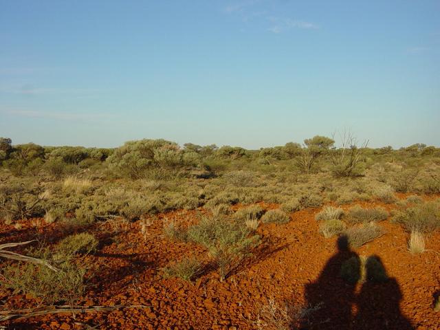 East view from confluence