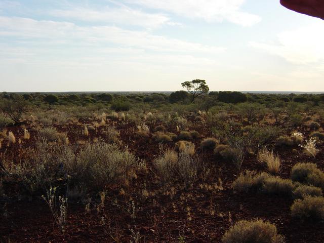 West view from confluence