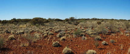 #1: General View of Confluence Area