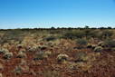 #2: Looking North from the Confluence