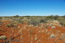 #3: Looking South from the Confluence