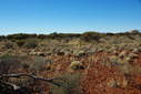 #4: Looking East from the Confluence