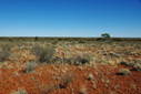 #5: Looking West from the Confluence