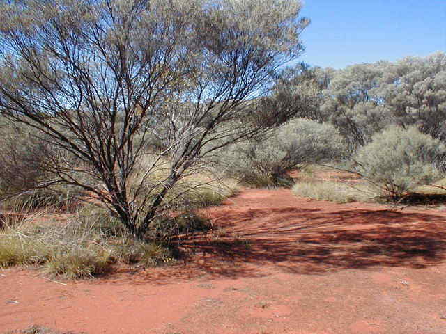 View of the confluence looking east