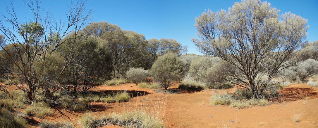 General View of Confluence Area