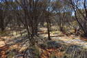 #2: Looking North from the Confluence